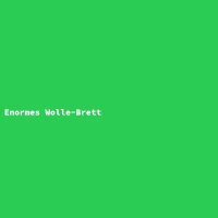Enormes Wolle-Brett